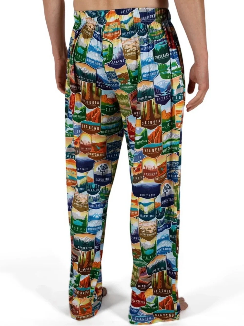Brief Insanity Parks of America Lounge Pants M